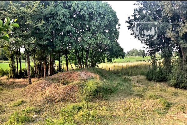 فروش زمین مسکونی گیلان ۸۰۰ متر شفت نهزم-3