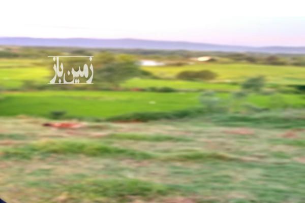 فروش زمین مسکونی گیلان ۱۰۰۰ متر شفت نهزم-4