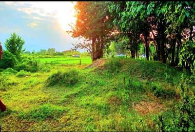 فروش زمین مسکونی گیلان ۸۰۰ متر شفت نهزم