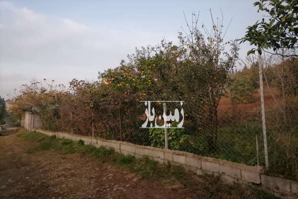 فروش زمین مسکونی شمال ۴۰۰ متر قائمشهر جاده نظامی روستای کشکا-4