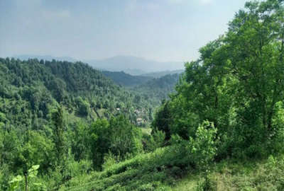 فروش زمین کشاورزی گیلان ۱۶۰۰ متر لاهیجان روستای گمل