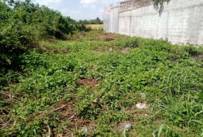فروش زمین مسکونی گیلان ۱۴۰ متر رشت حومه لاهیجان روستای ملاسرا