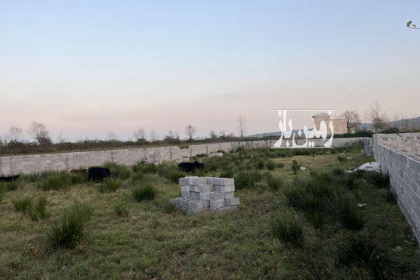 فروش زمین مسکونی گیلان ۱۰۰۰ متر رشت اقا سید شریف سقالکسار-1