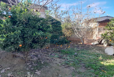 فروش زمین مسکونی شمال ۱۷۵ متر بابل بندپی غربی روستای شهیداباد