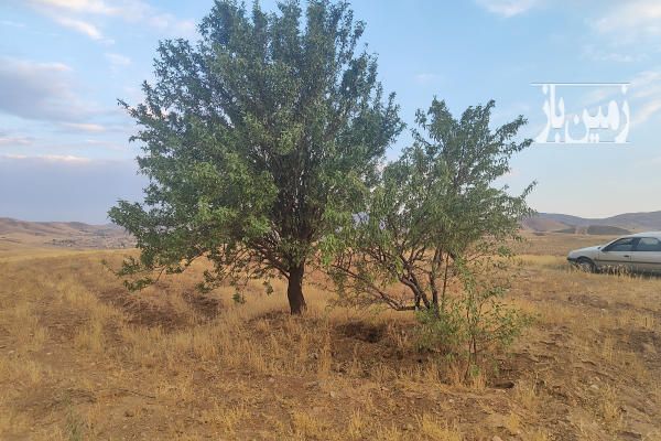 فروش زمین کشاورزی کردستان ۱۰۰۰۰ متر سقز-3