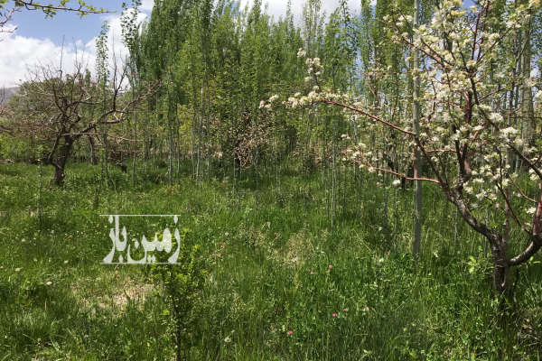 فروش زمین کشاورزی اصفهان ۲۵۰۰ متر سمیرم جاده کمربندی-4