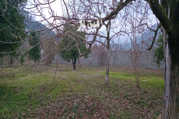 فروش زمین مسکونی باغ گیلان ۶۰۰۰ متر رحیم‌ آباد کوهپایه ای-2