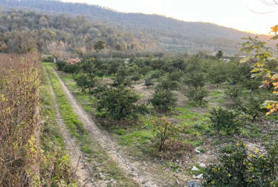 فروش زمین باغ شمال ۶۰۰ متر ساری هولار به سمت روستای آهودشت
