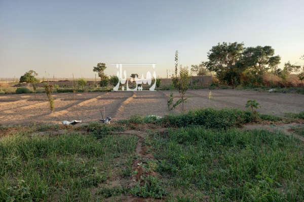فروش زمین باغچه تهران ۳۴۰۰ متر اسلامشهر روستای کاشانک-1