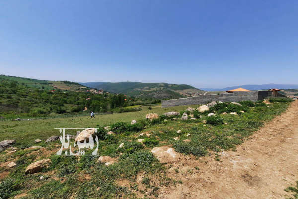 فروش زمین شمال ۵۰۰ متر ساری روستای لنگر چهاردانگه-1