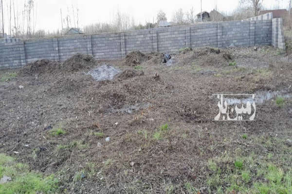 فروش زمین مسکونی گیلان ۵۰۱ متر آستانه کیاشهر روستای لسکوکلایه-3