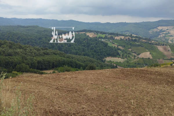 فروش زمین تفریحی توریستی شمال ۵۰۰۰ متر ساری دارابکلا-4