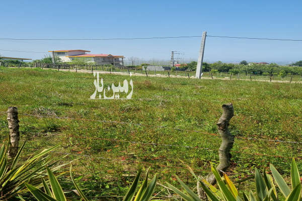 فروش زمین باغ شمال ۴۰۰ متر نشتارود روستای کوهسر-2