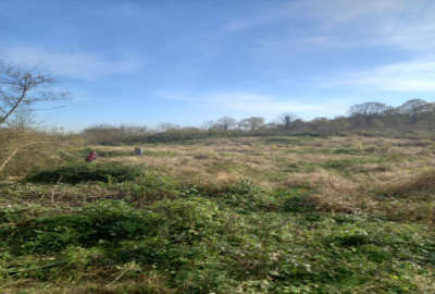 فروش زمین کشاورزی گیلان ۵۰۰۰ متر لاهیجان روستای اهندان لواسی محله