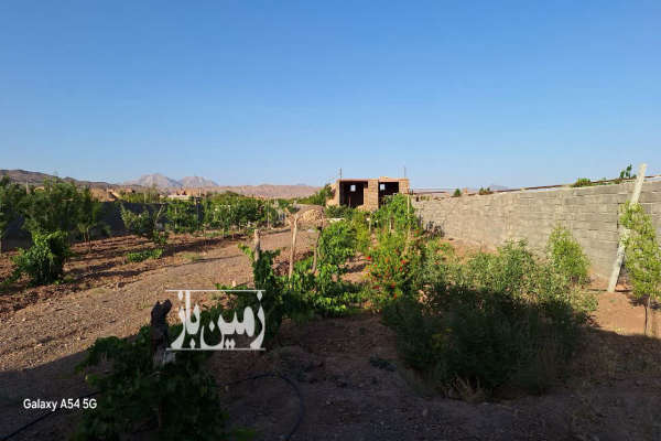 فروش زمین باغ خراسان جنوبی ۱۶۰۰ متر اسلامیه فردوس روستای برون-1