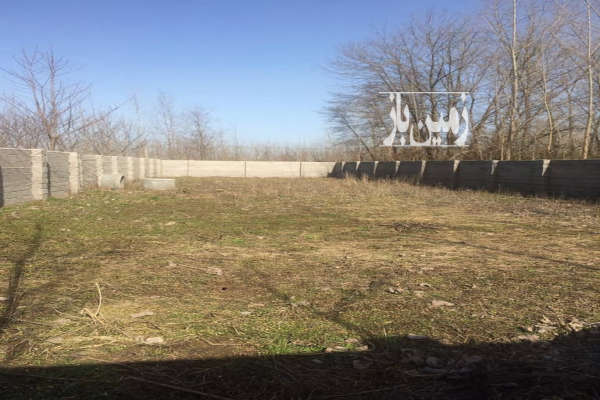 فروش زمین باغ گیلان ۴۶۴ متر لاهیجان رودبنه روستای امامده-2
