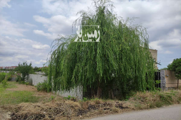 فروش زمین باغ شمال ۲۰۰ متر قائمشهر روستای افراکتی-3