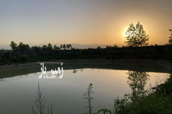فروش زمین باغ گیلان ۱۳۰۰۰ متر بندرانزلی انزلی جاده آبکنار-2