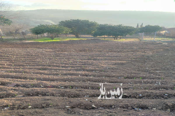 فروش زمین مسکونی تجاری باغ شمال ۱۹۰۰ متر نکا روستای چلمردی-1