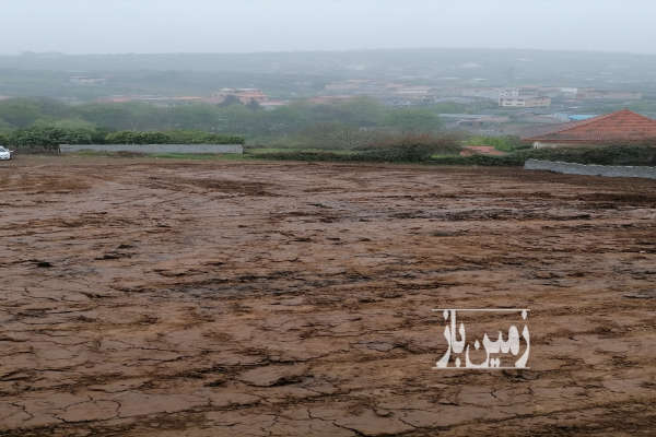 فروش زمین باغ کشاورزی شمال ۹۰۰ متر قائمشهر-1