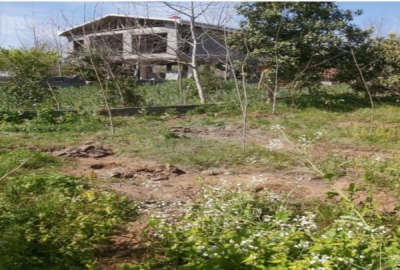 فروش زمین مسکونی گیلان ۱۵ متر لاهیجان روستای سیاهگوراب