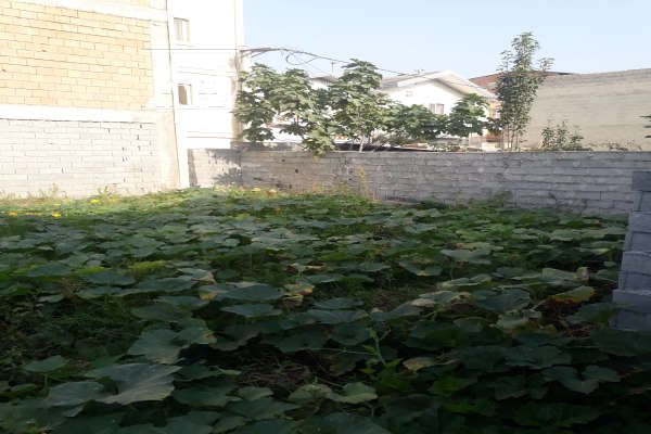 فروش زمین مسکونی شمال ۱۲۴ متر بابل حیدرکلا-2