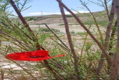 فروش زمین مسکونی کشاورزی شمال ۱۹۵۰ متر ساری بین روستای حیدرابادوطاهراباد