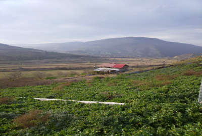 فروش زمین کشاورزی شمال ۲۲۷ متر ساری روستای لارما