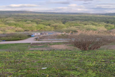 فروش زمین مسکونی باغ شمال ۱۰۰۰ متر ساری ارزفون