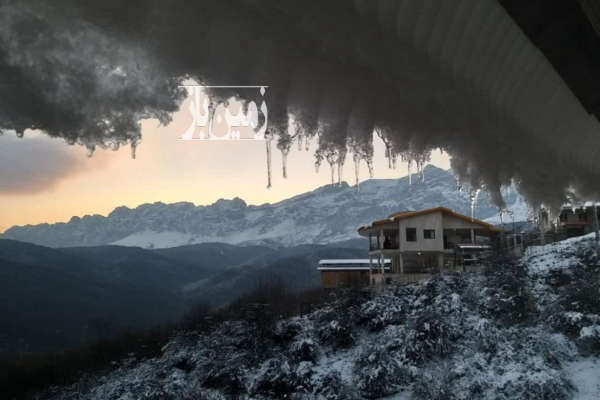 فروش زمین مسکونی شمال ۱۸۳ متر سوادکوه روستای ورپی-2
