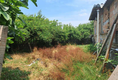 فروش زمین مسکونی شمال ۲۰۰ متر ساری روستای شهید زارع