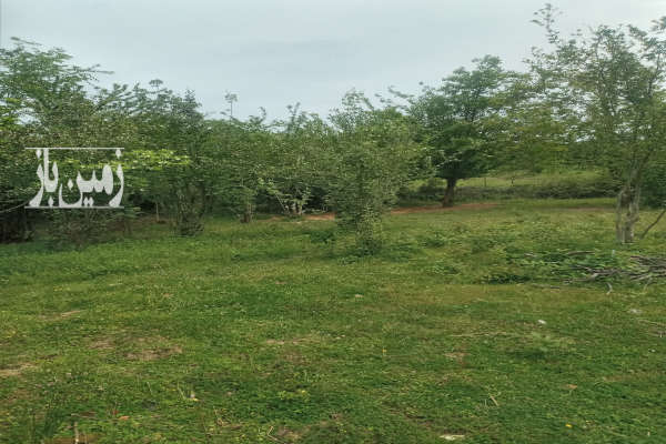 فروش زمین مسکونی گیلان ۷۶۶ متر رضوان‌ شهر روستای پونل-2