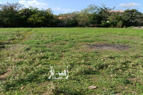 زمین مسکونی ۳۰۰ متر ماسال شاندرمن روستای شالکه-1