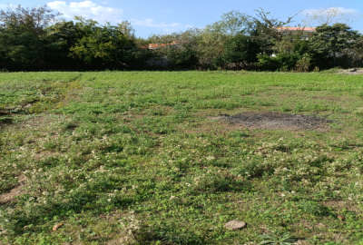 زمین مسکونی ۳۰۰ متر ماسال شاندرمن روستای شالکه