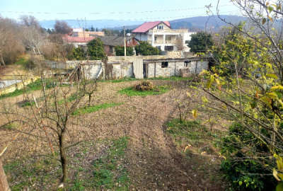 فروش زمین مسکونی شمال ۲۵۰ متر ساری پهنه کلا جنوبی روستای دروار
