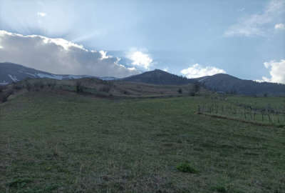 فروش زمین باغ گیلان ۵۰۰ متر هشتپر تالش روستای ریک