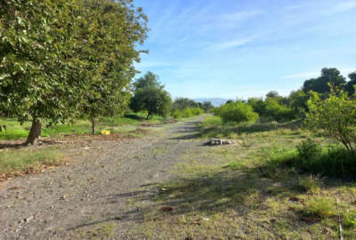 فروش زمین مسکونی کشاورزی هرمزگان ۲۱۰۰۰ متر دهبارز روستای برنطین