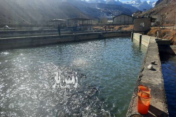 فروش زمین باغ کشاورزی تهران ۱۴۷۰۰ متر آبعلی-1