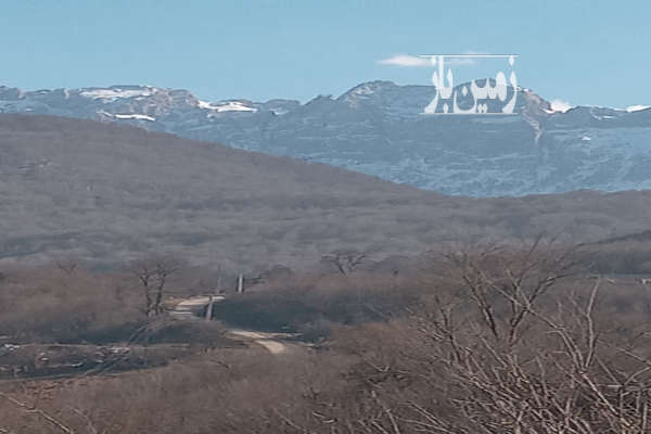 فروش زمین باغ شمال ۴۰۰ متر سوادکوه روستای دهمیان-1