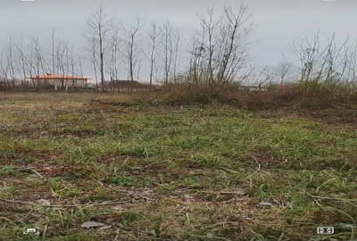 فروش زمین مسکونی گیلان ۹۰۵ متر فومن روستای ضیابر
