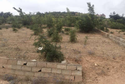 فروش زمین شمال ۵۰۰ متر نوشهر کجور روستای بسطام