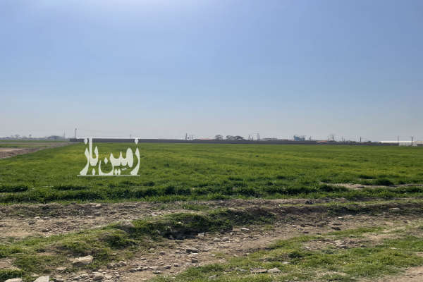 فروش زمین کشاورزی تهران ۱۴۰۰۰ متر پاکدشت روستای محمودآباد-1