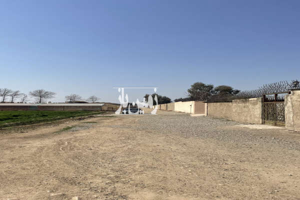 فروش زمین کشاورزی تهران ۱۴۰۰۰ متر پاکدشت روستای محمودآباد-2