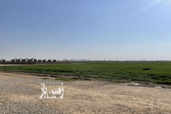 فروش زمین کشاورزی تهران ۱۴۰۰۰ متر پاکدشت روستای محمودآباد-4