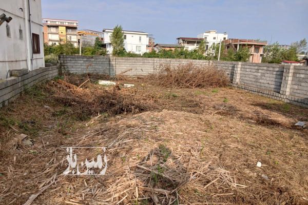 فروش زمین مسکونی شمال ۲۲۹ متر نوشهر روستای نیرنگ-1
