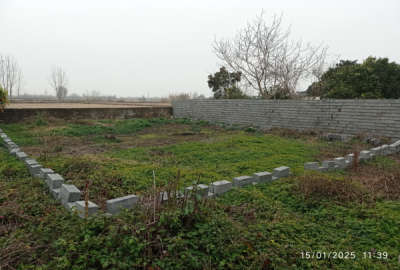 فروش زمین مسکونی شمال ۲۱۵ متر آمل روستای شاهکلا