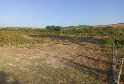 فروش زمین کشاورزی شمال ۴۳۰ متر ساری روستای اسبورز