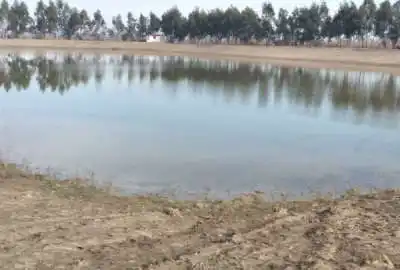 فروش زمین کشاورزی شمال ۱۵۰۰۰ متر ساری