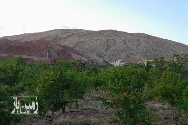 فروش زمین باغ تهران ۵۳۲ متر دماوند ویرانه جاده کیلان به ایوانکی-1