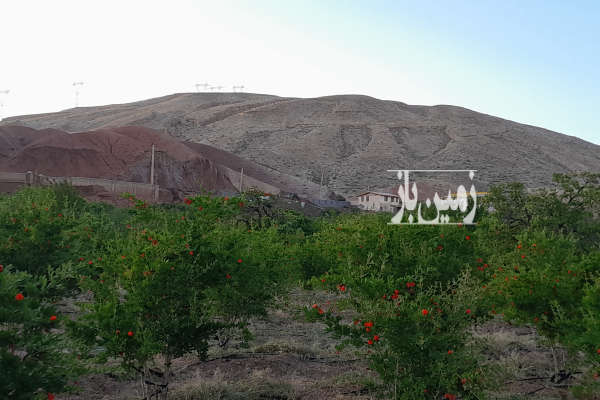 فروش زمین باغ تهران ۵۳۲ متر دماوند ویرانه جاده کیلان به ایوانکی-2